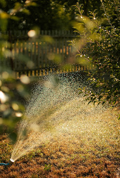 Environmental benefits of sprinkler irrigation