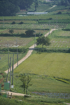 Types of sprinkler irrigation systems displayed on a farm