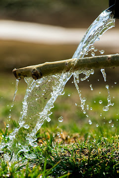 Water conservation through efficient sprinkler irrigation