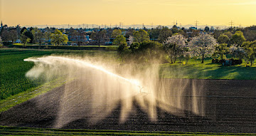 Being Organic in EU - Impact on Crop Yield and Quality